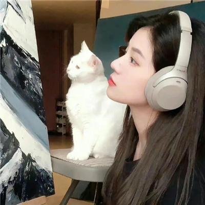 我的战舰能升级 动态漫画