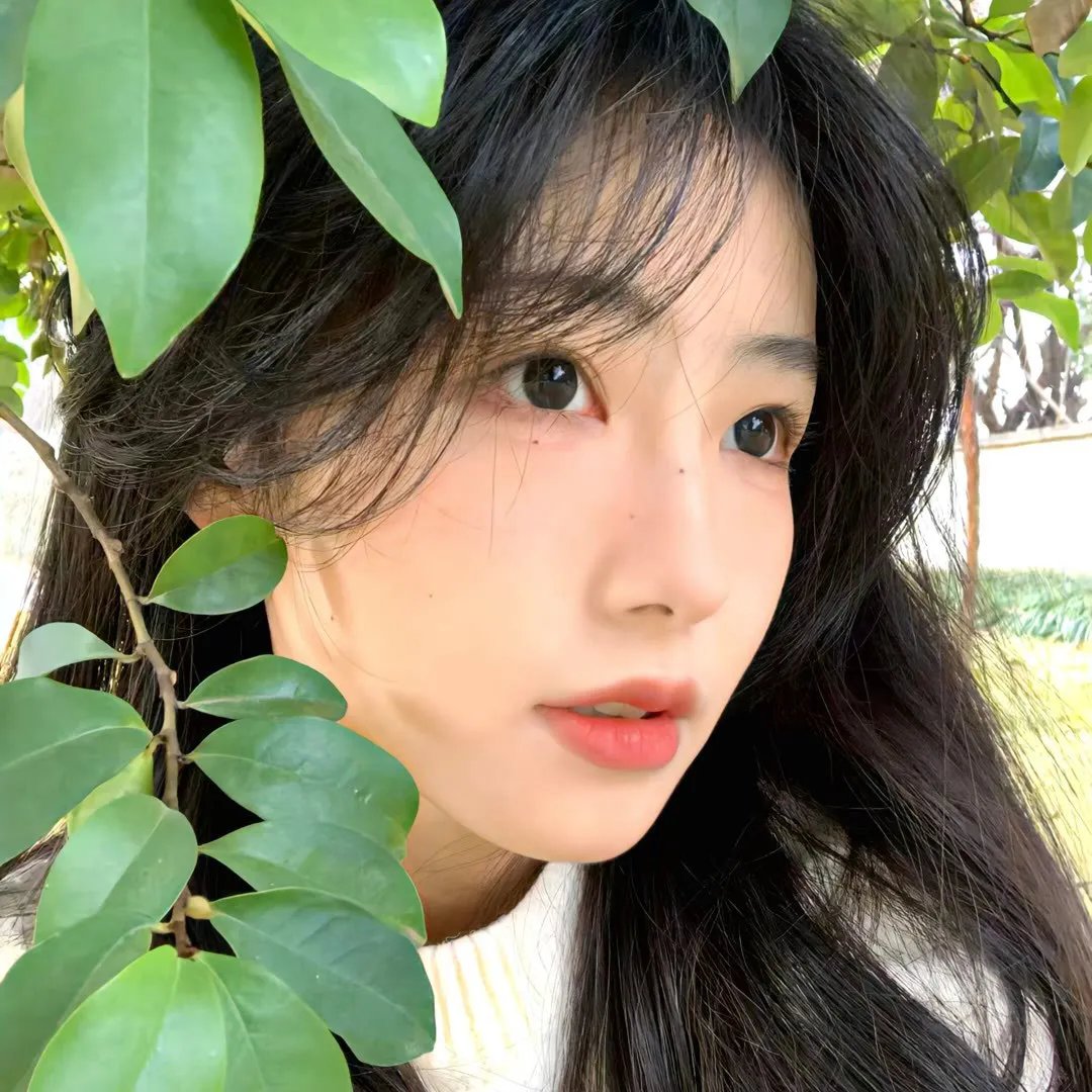 爱的寻觅